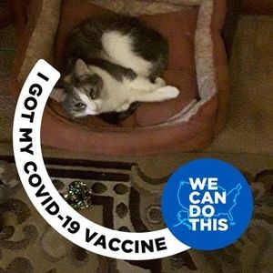 Meet your Posher, Patti